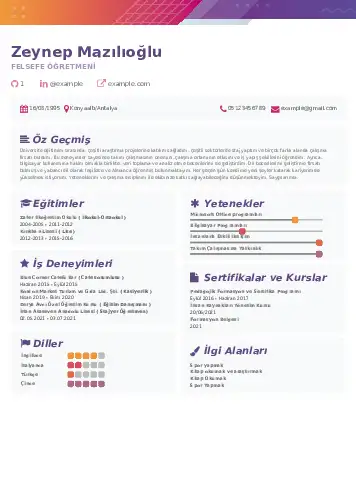 Felsefe Öğretmeni CV Örnekleri cv indir